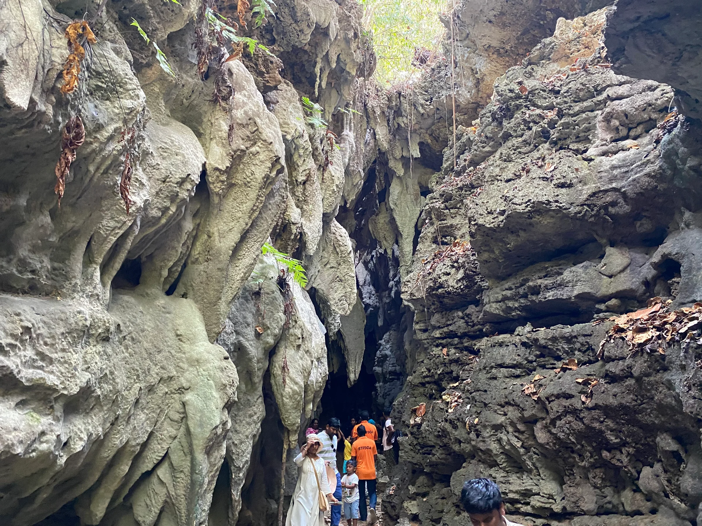 Limestone cave at Baratang