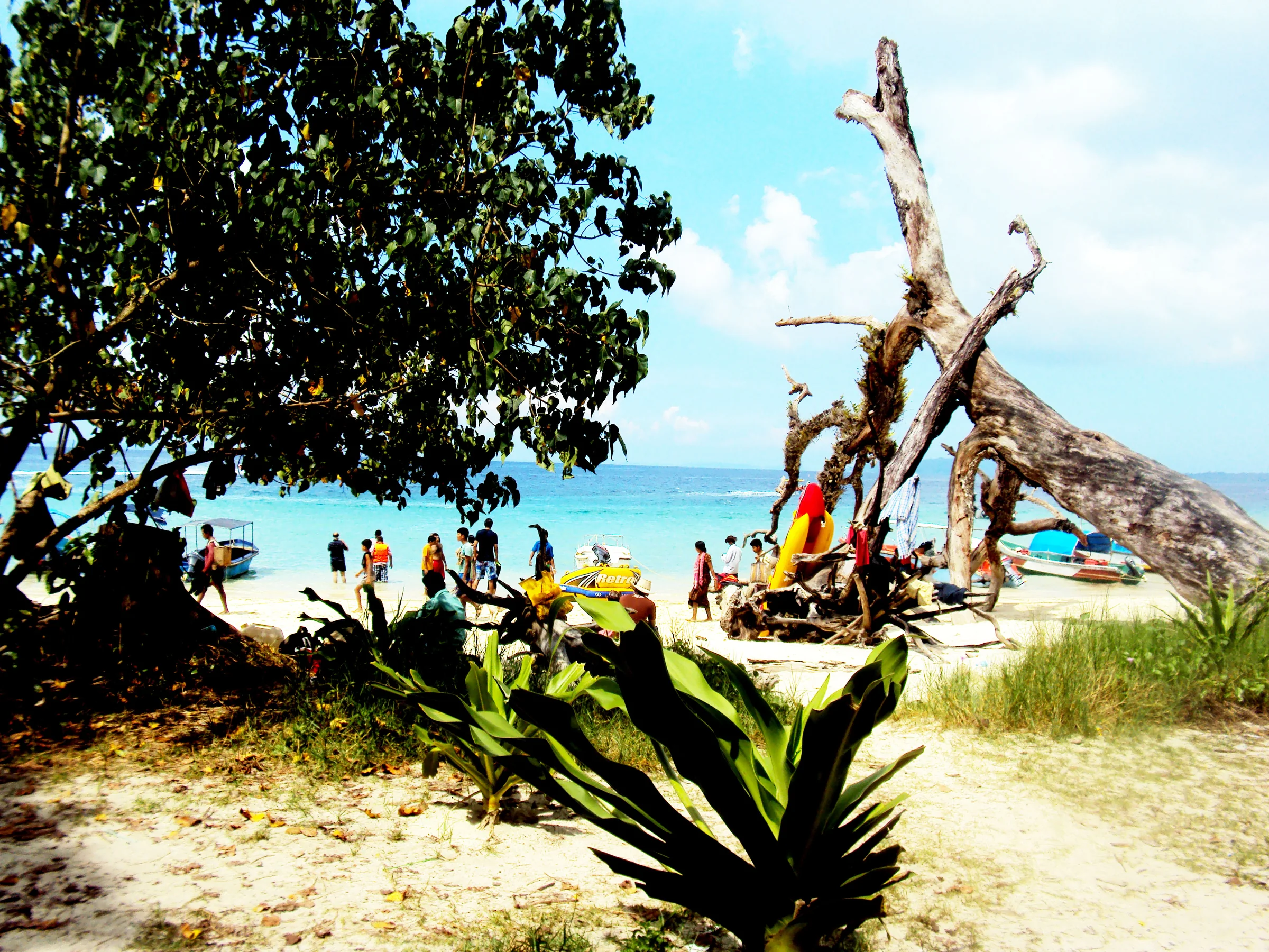 Coastline near Elephant Beach