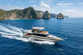 Nusa Lembongan private boat day with snorkeling and coves