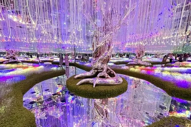 Immersive installation at AYA Universe