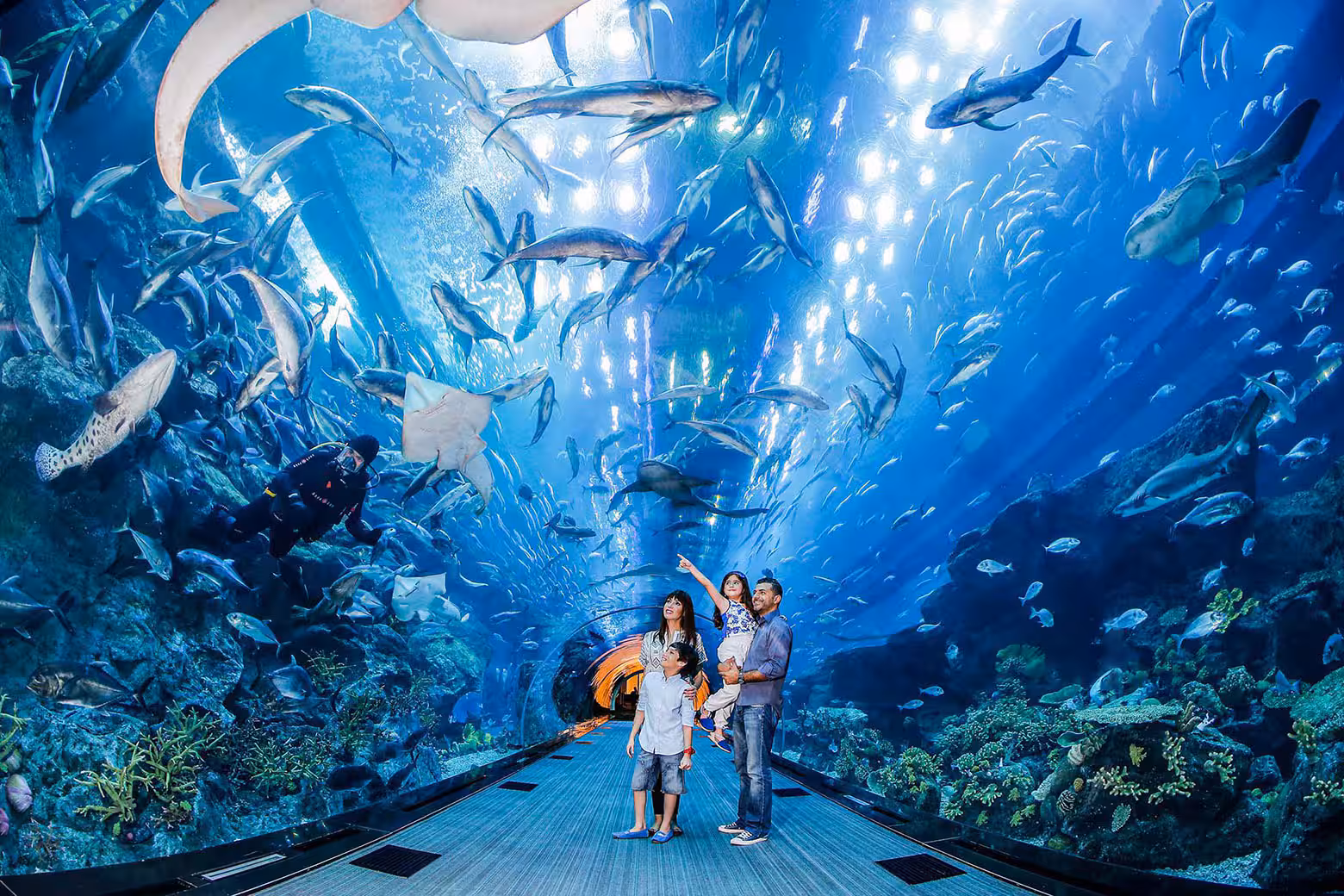Families exploring Dubai Aquarium