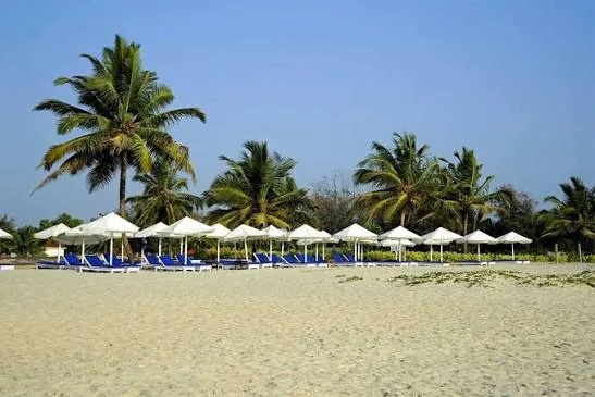 Cavelossim and Mobor beach with palm trees, sun loungers and a calm South Goa shoreline