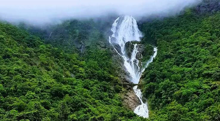 Dudhsagar waterfall in the Mollem forested landscape with mist and lush green hills
