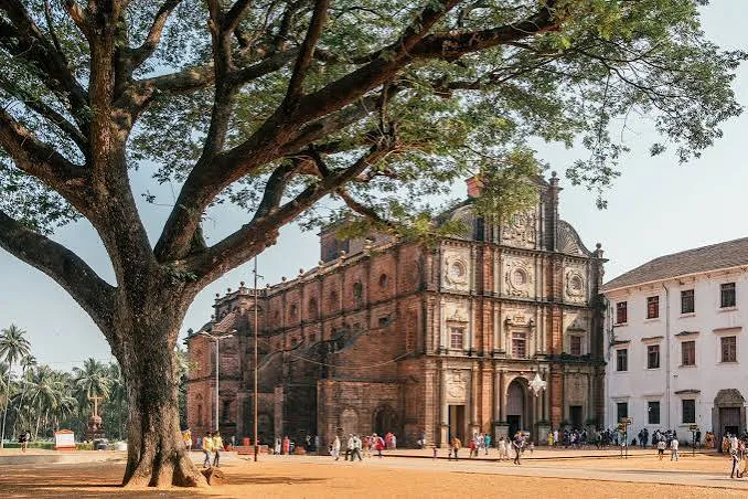 Old Goa churches with the Basilica of Bom Jesus framed by a large tree and heritage plaza