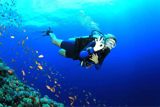 Suba diving in Goa with a scuba diver swimming over a blue tropical reef