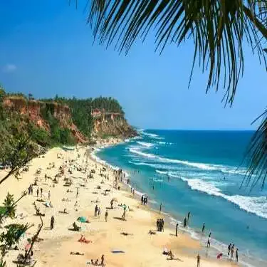 Varca Beach in South Goa with a wide sandy shore, cliffs, surf and palm fronds overhead