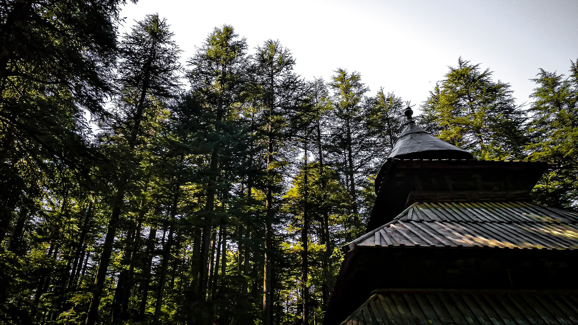 Hidimba Devi Temple among cedar trees in Manali