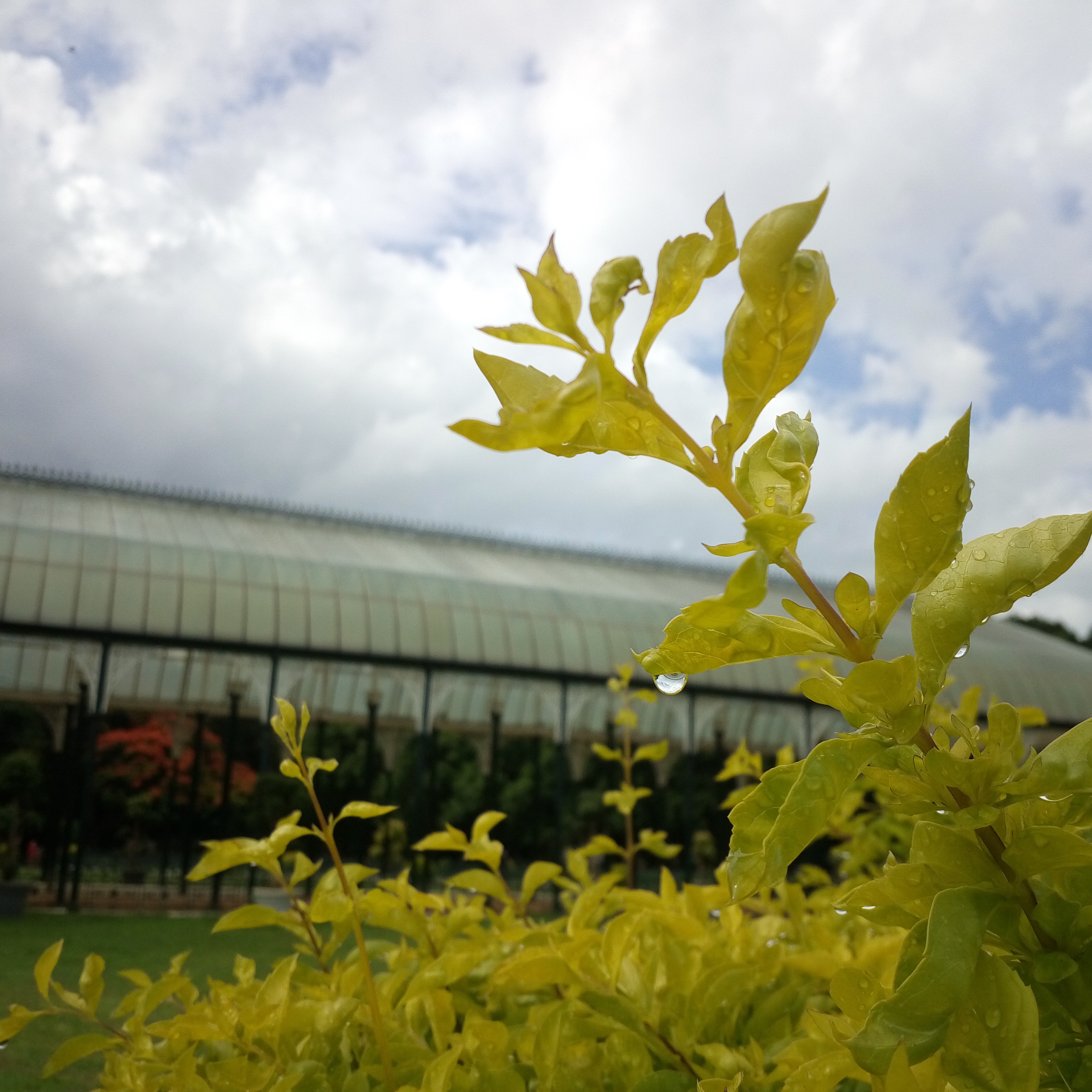 Glass House and gardens at Lalbagh Botanical Garden, Bengaluru