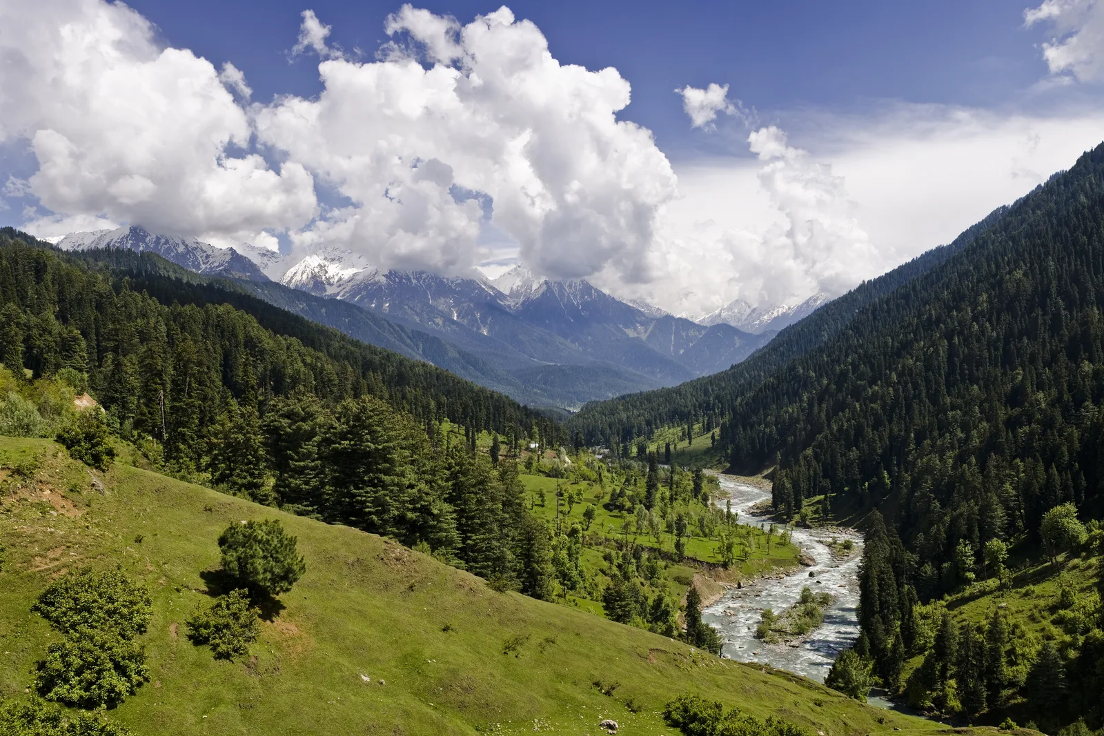 Pahalgam Valley