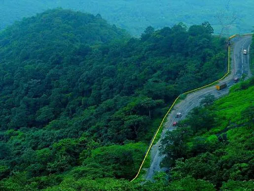 Forest road through Wayanad's green hills