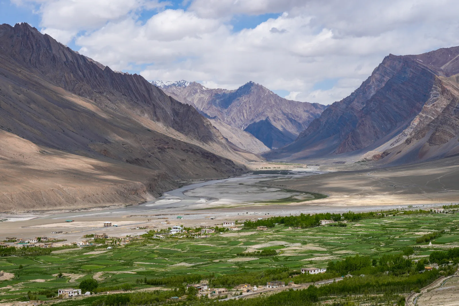 Green fields and the Zanskar River winding below rugged mountains