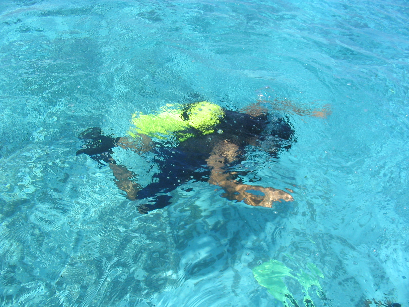 A snorkeller floating in the clear lagoon waters of Lakshadweep