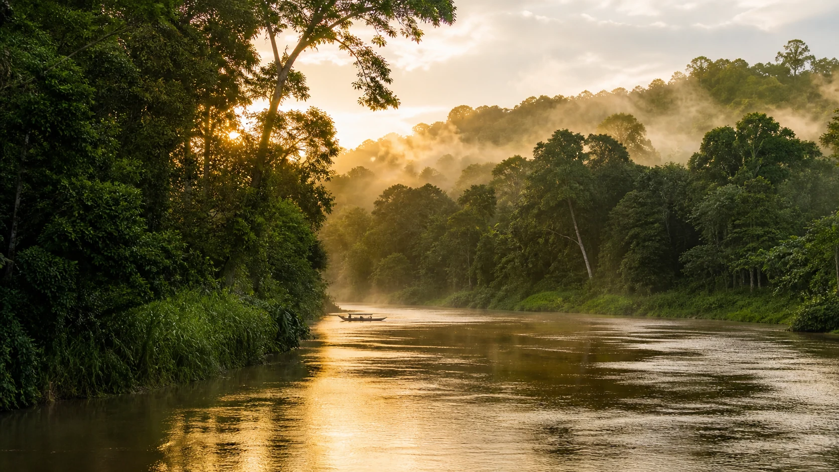 Kinabatangan River rainforest at dawn