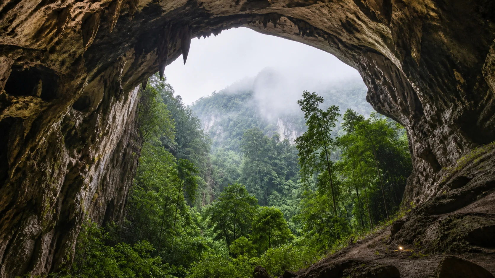 Rainforest framed by a cave in Gunung Mulu