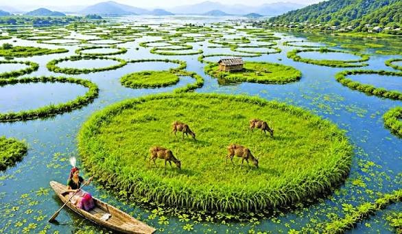 Loktak Lake with floating phumdis in Manipur