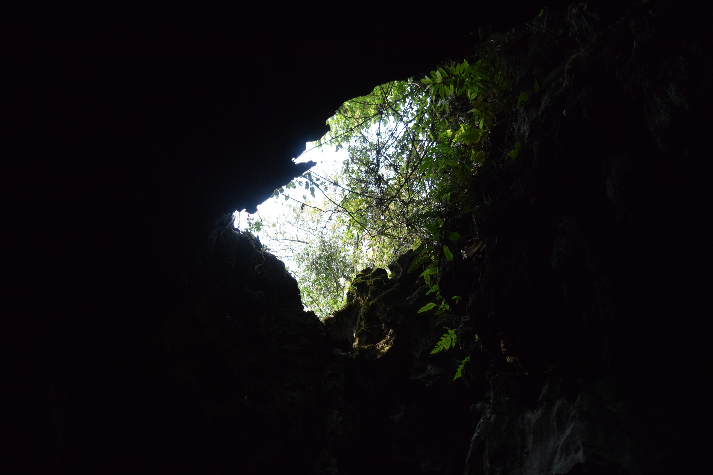 Mawsmai Cave