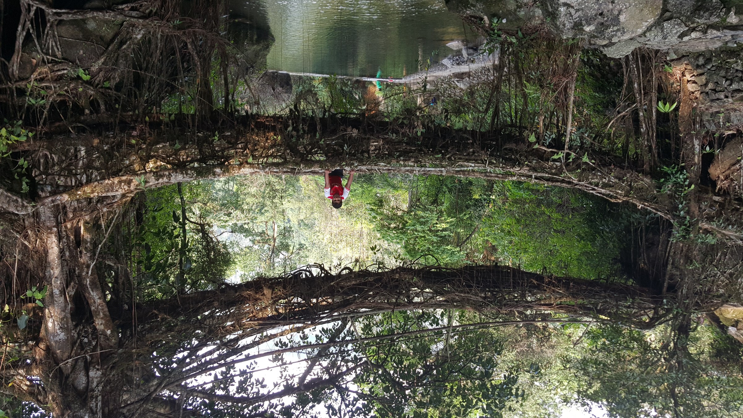 Nongriat Double-Decker Living Root Bridge