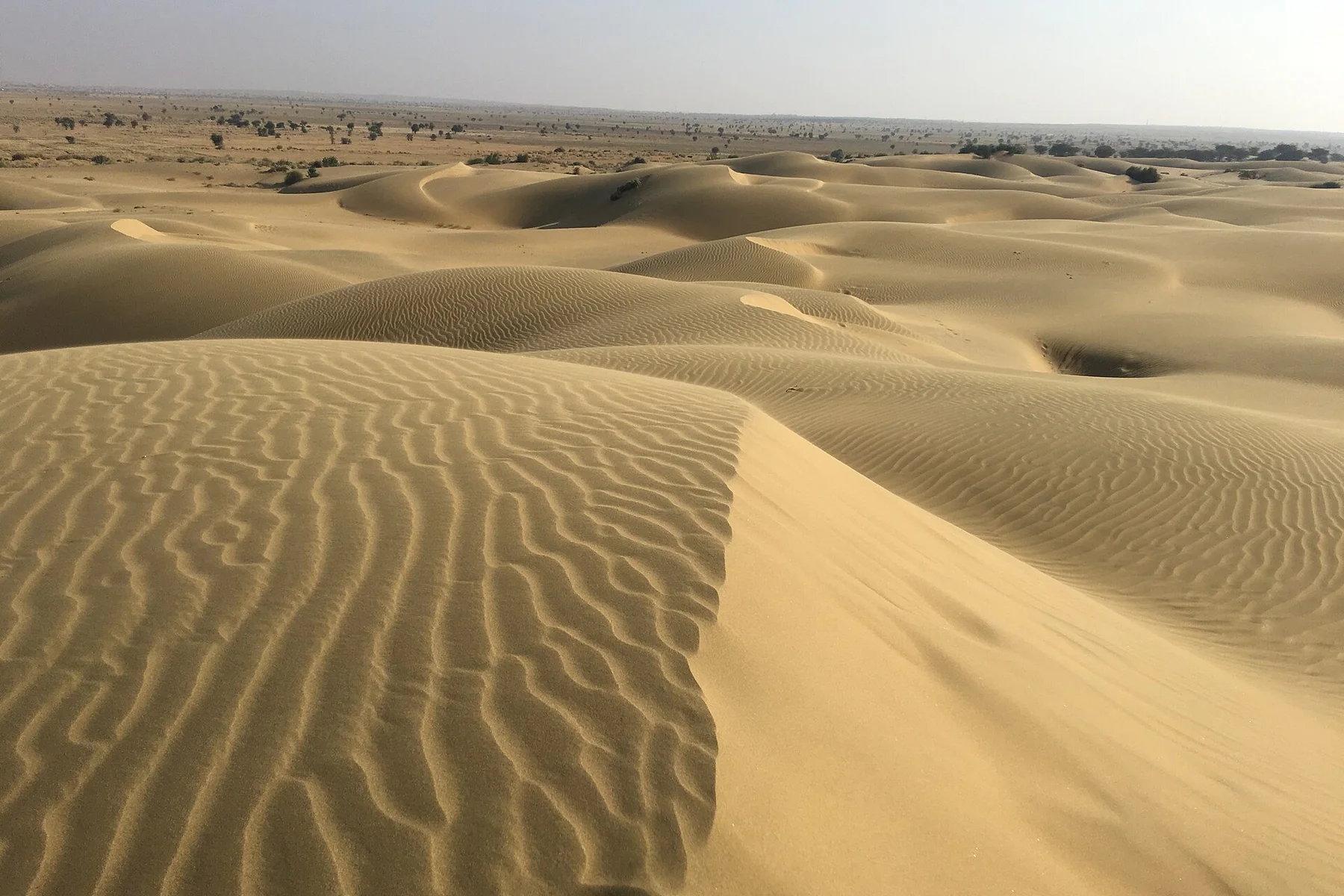 Sand dunes near Jaisalmer