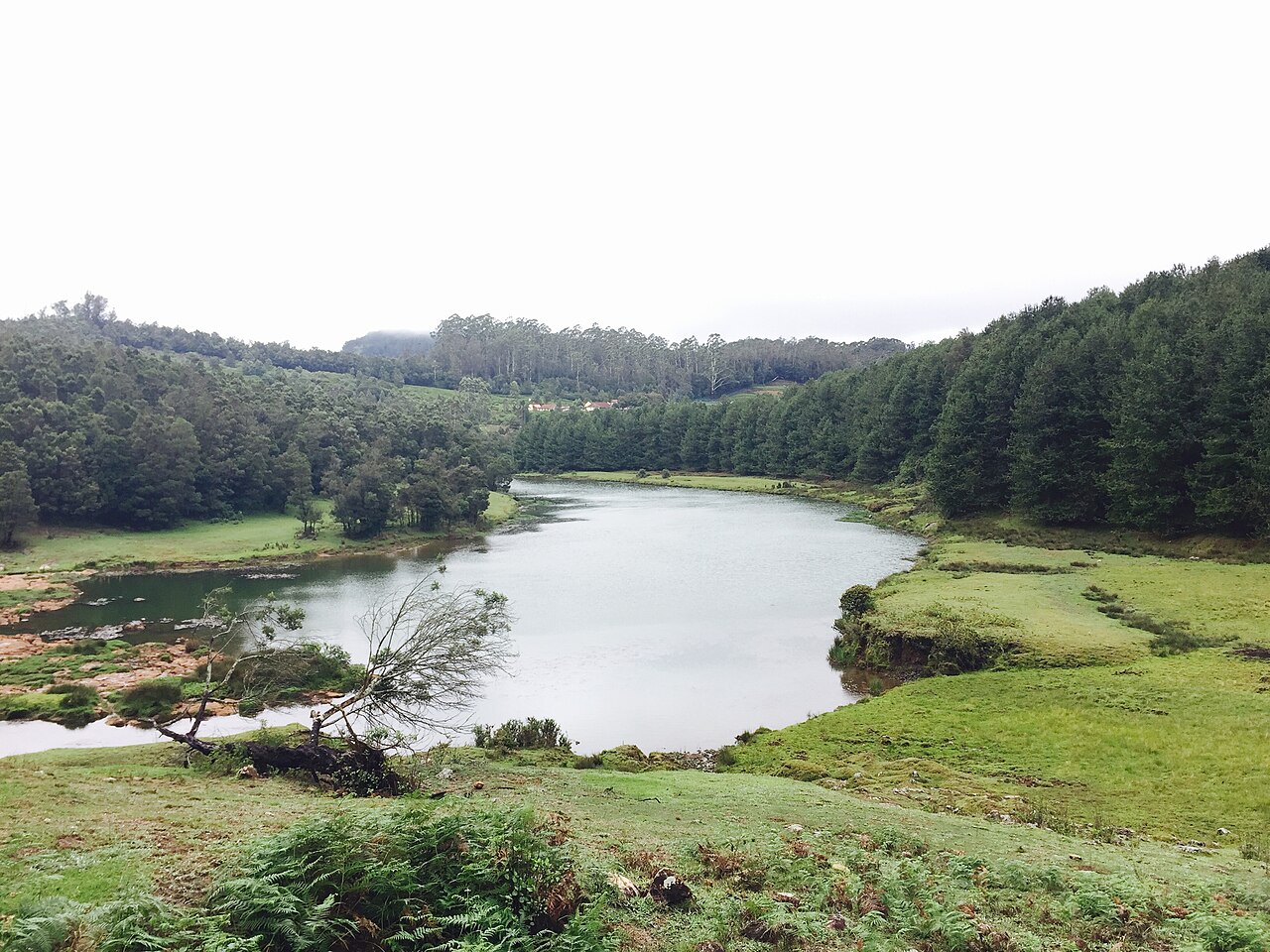 Ooty Lake in the Nilgiri Hills
