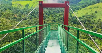 Emerald Trails of Wayanad: Nature’s Serene