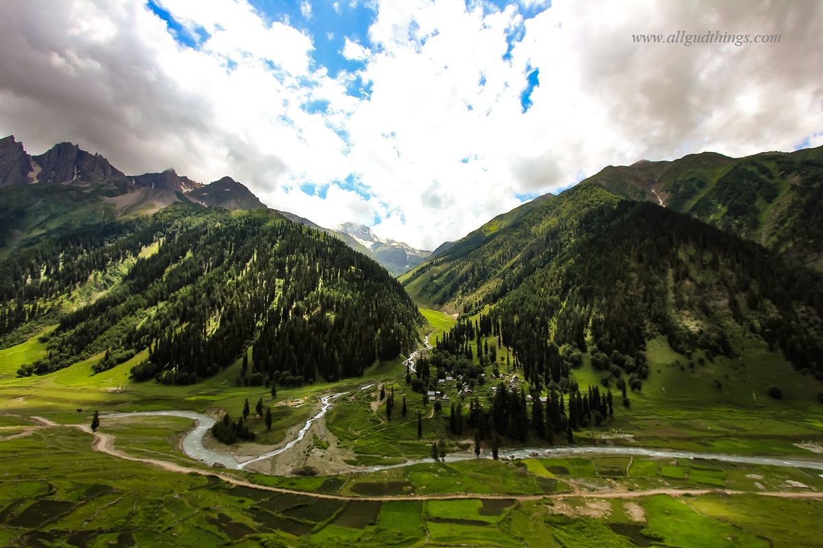 Golden Meadows Kashmir Escape