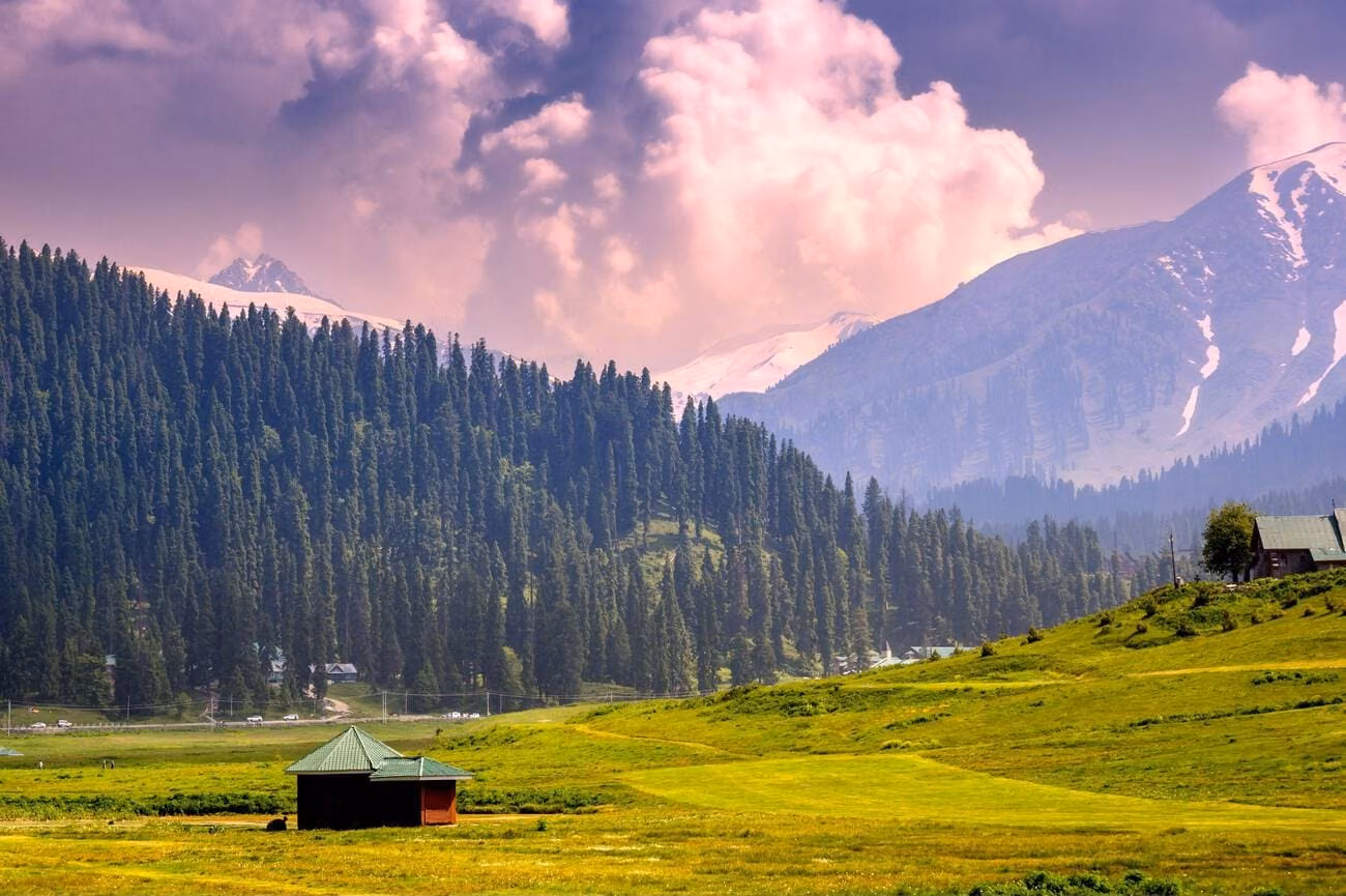 Arrival in Gulmarg: Embracing the Snow