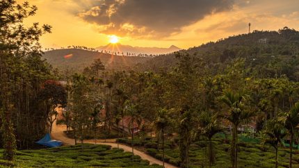 Highland Harmony: Ooty & Wayanad Nature Escape