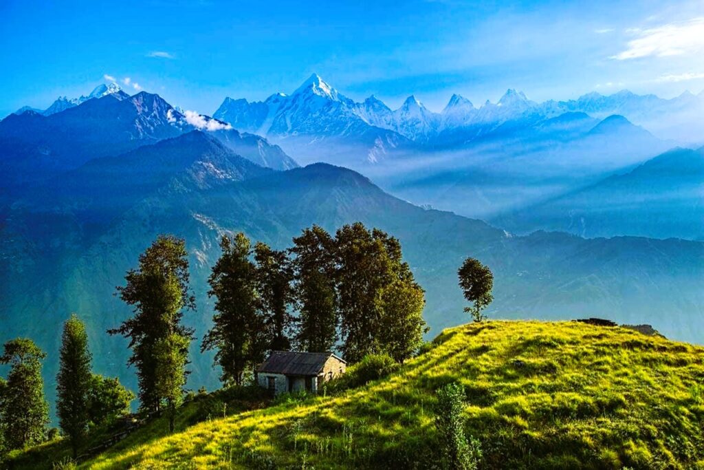 Into the Wild: Binsar Bliss Escape