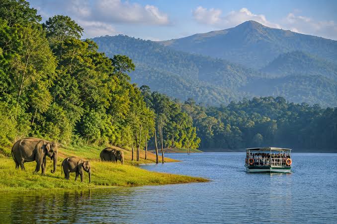 From Munnar to Thekkady