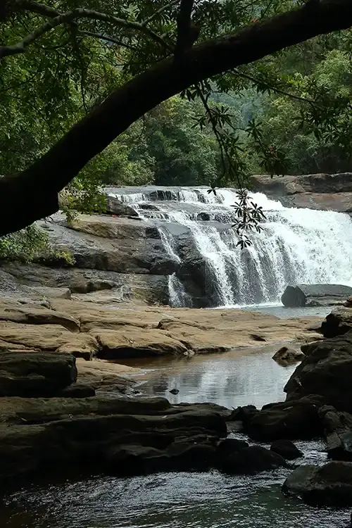 Journey to Munnar