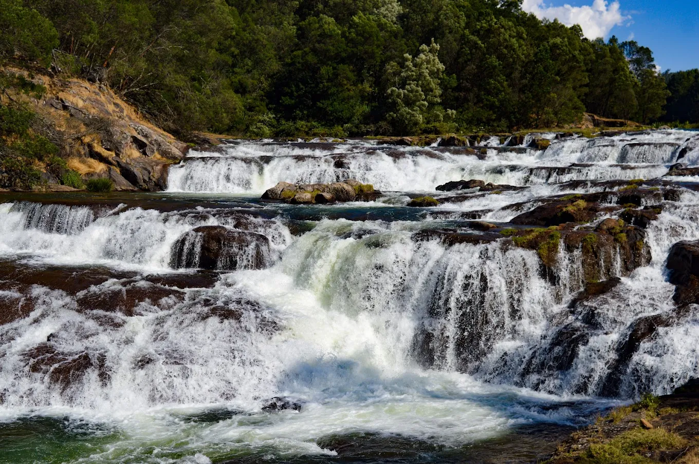 Exploring Ooty's Natural Wonders
