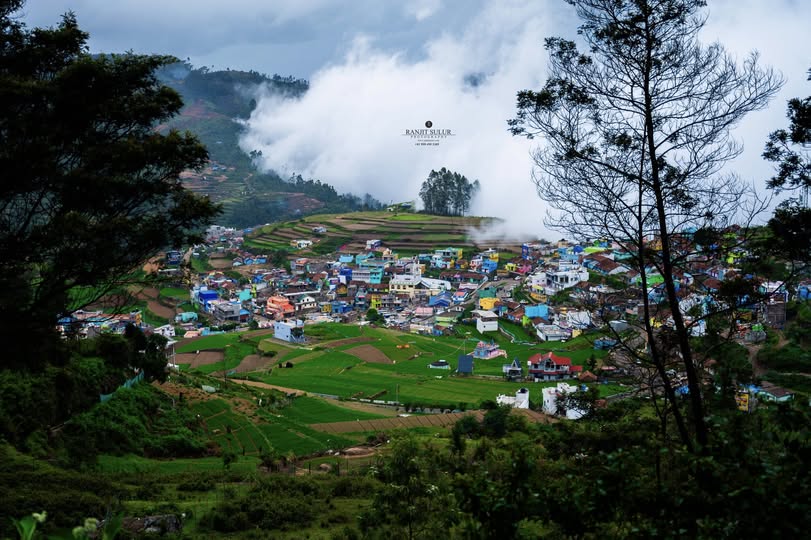 Mist & Meadows: Ooty–Kodaikanal Escape