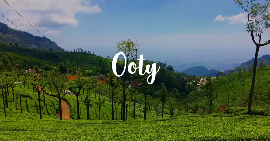Ooty Elite Experience by OTA Prime