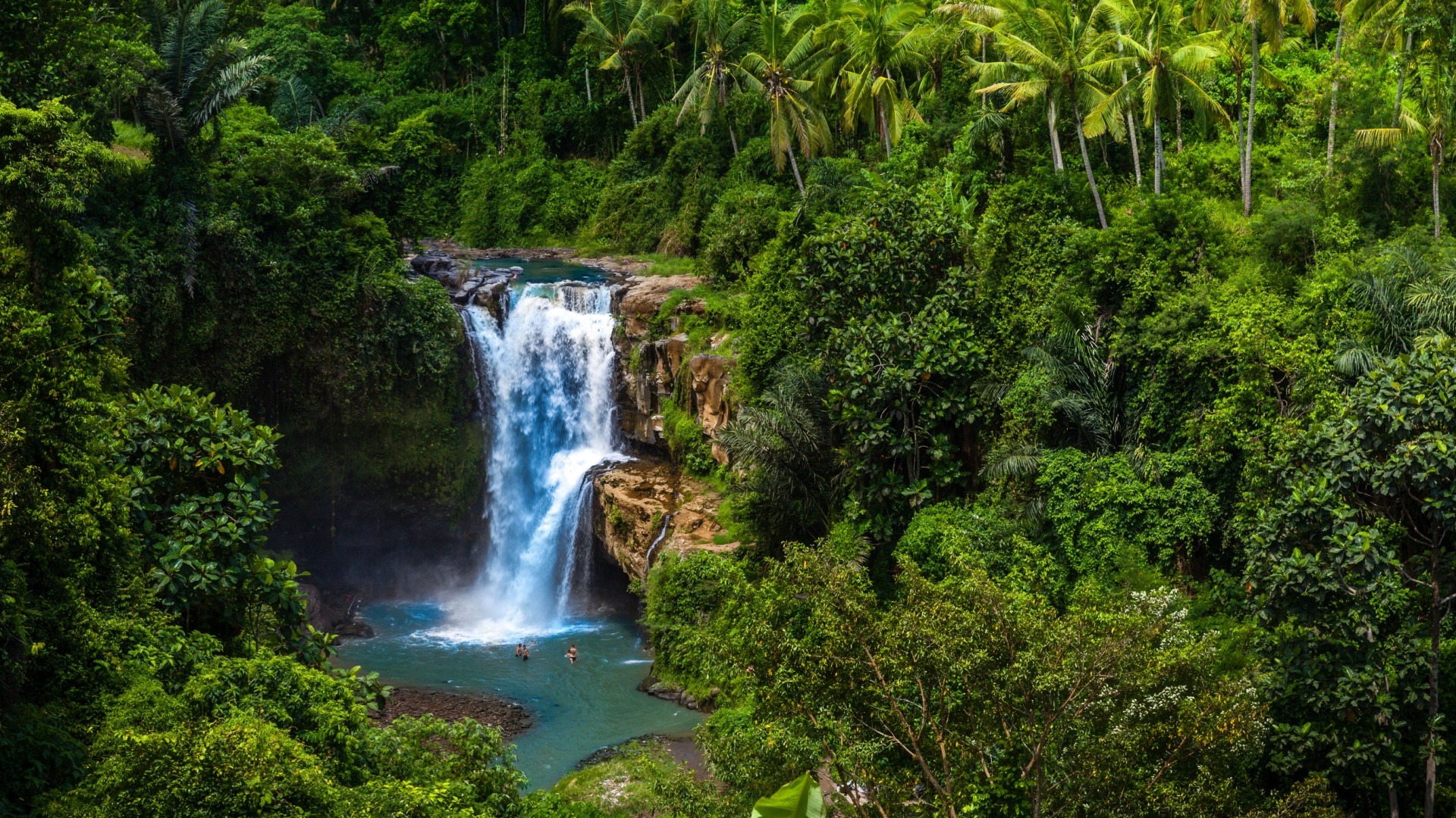 Exploring Kintamani's Natural Wonders