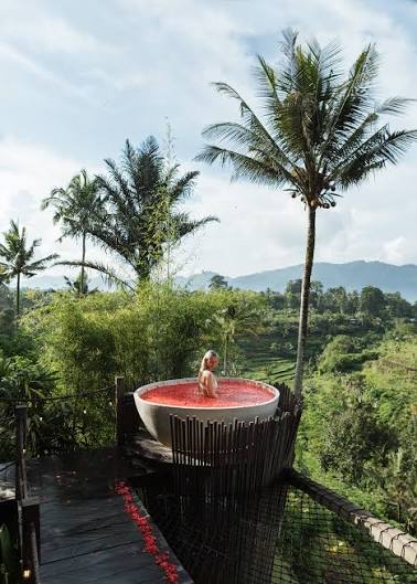 A Day of Leisure in Nature
