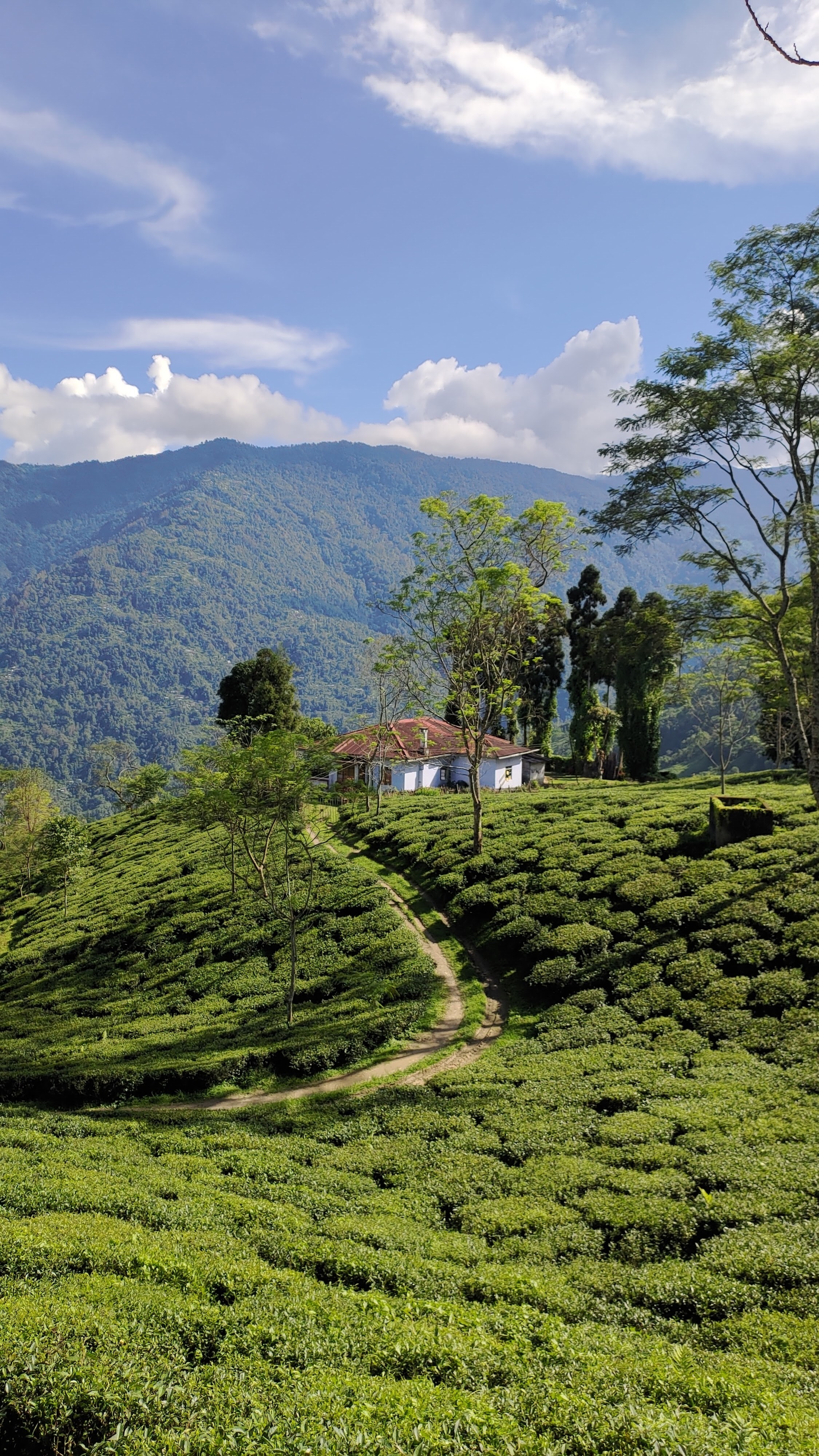 Cultural Immersion and Departure