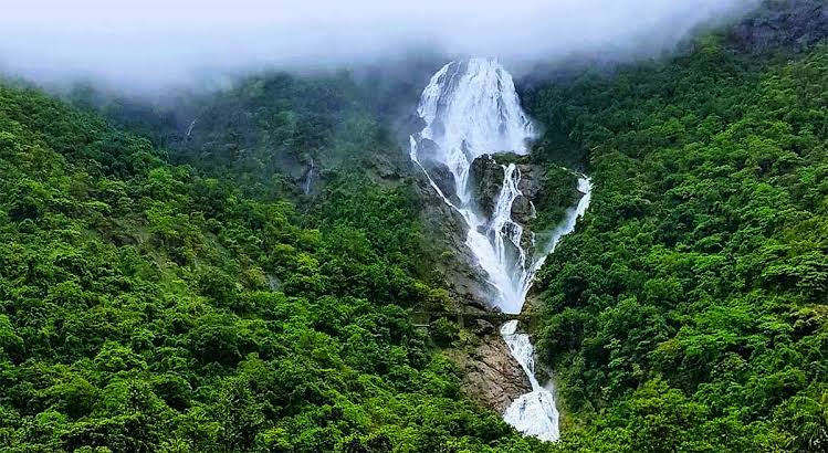 Dudhsagar Falls Adventure