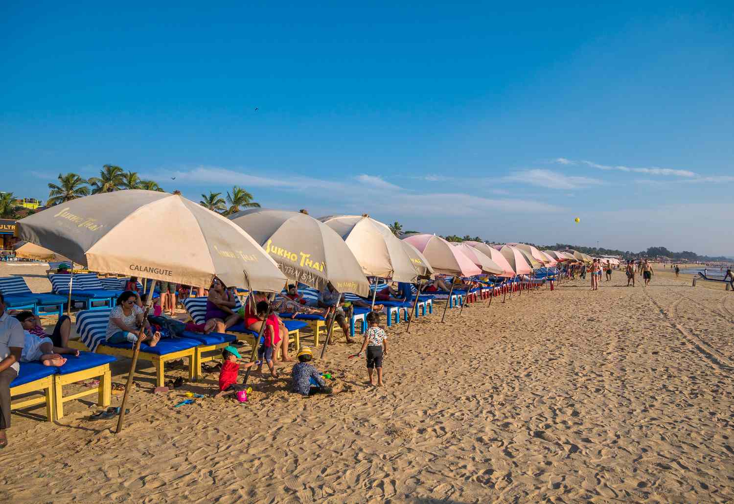 Exploring North Goa's Coastal Charms