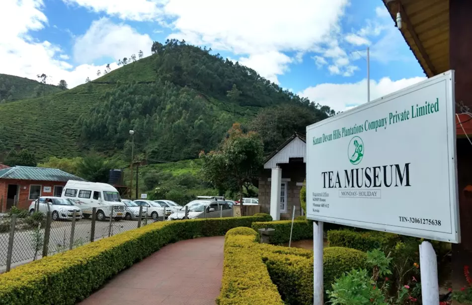 Exploring Munnar's Treasures