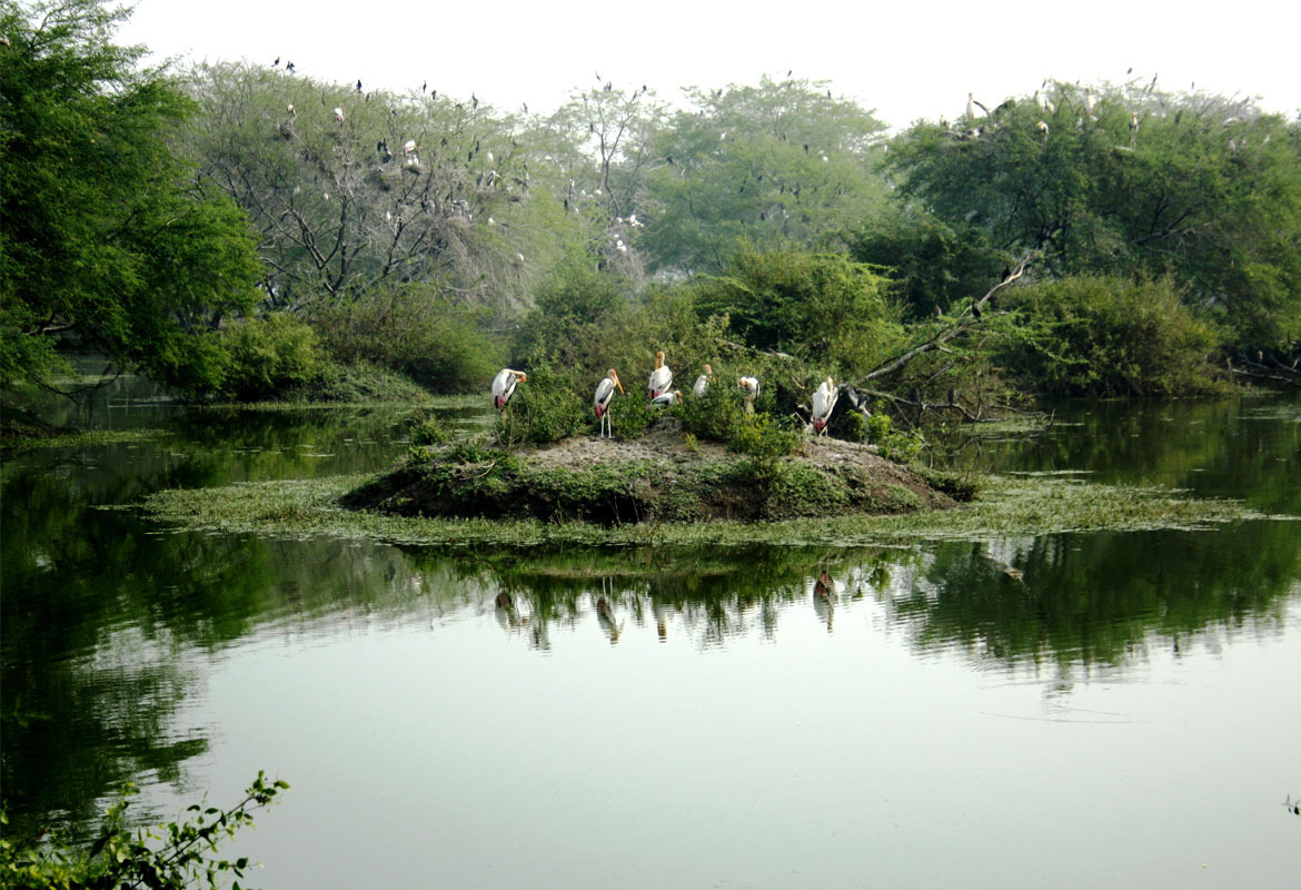 Thekkady to Kumarakom