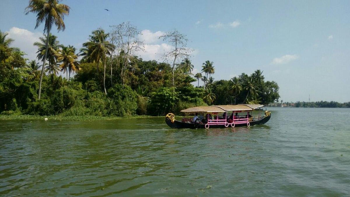 Thekkady to Alleppey: Serenity of the Backwaters