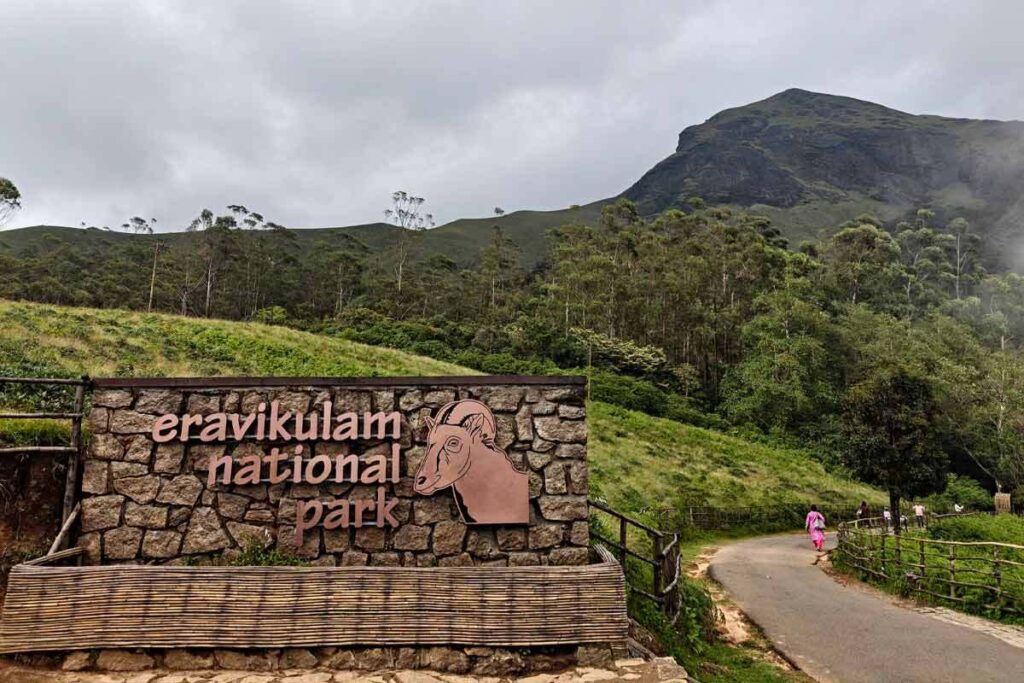 Exploring Munnar's Natural Wonders