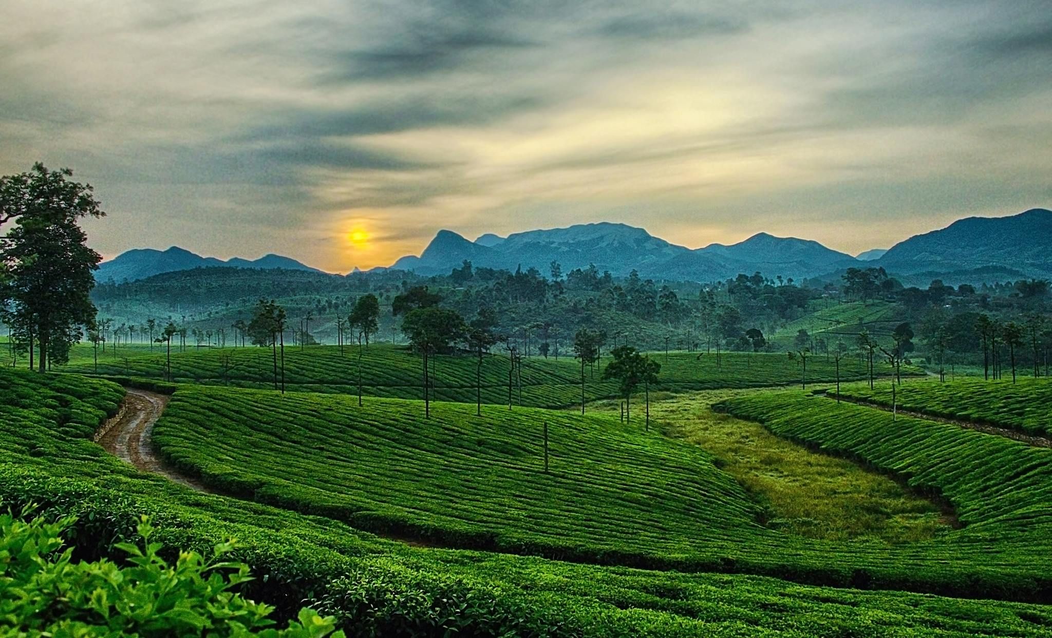 Arrival in Ooty: A Warm Welcome