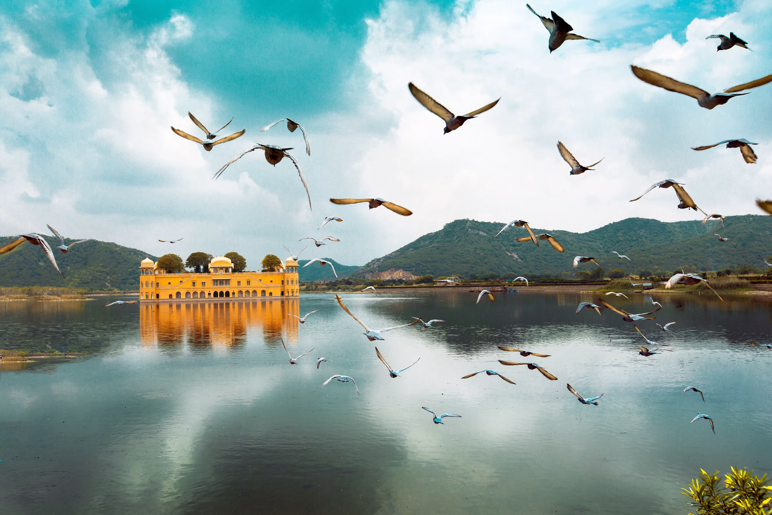 Majestic Jaipur