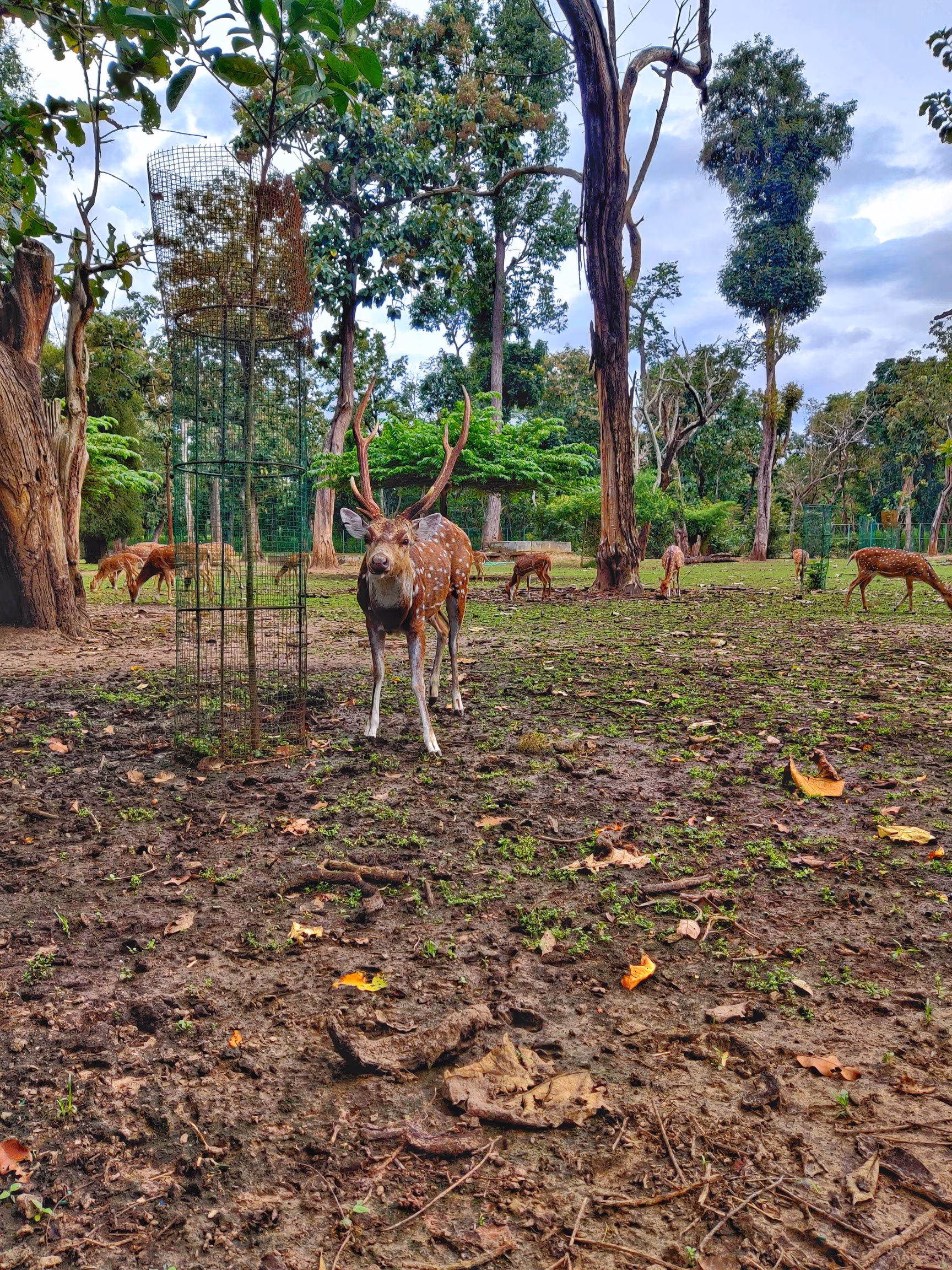 Journey to Ooty: Hills and Heritage