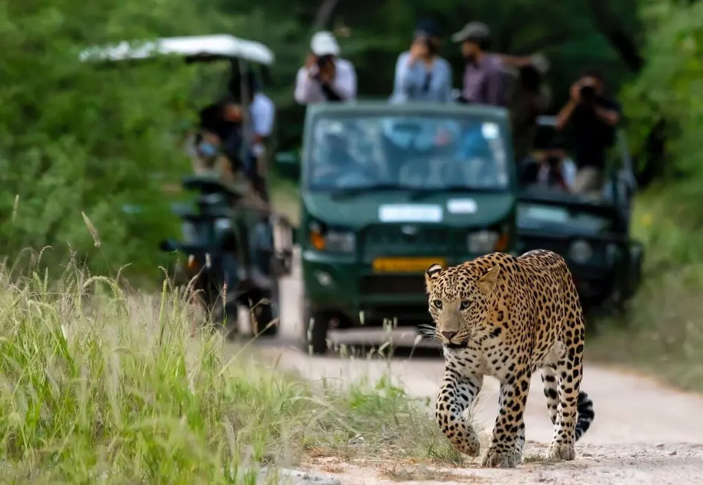 Rajasthan Luxury Sojourn by OTA Prime