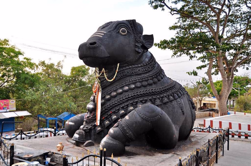 Journey to Coorg