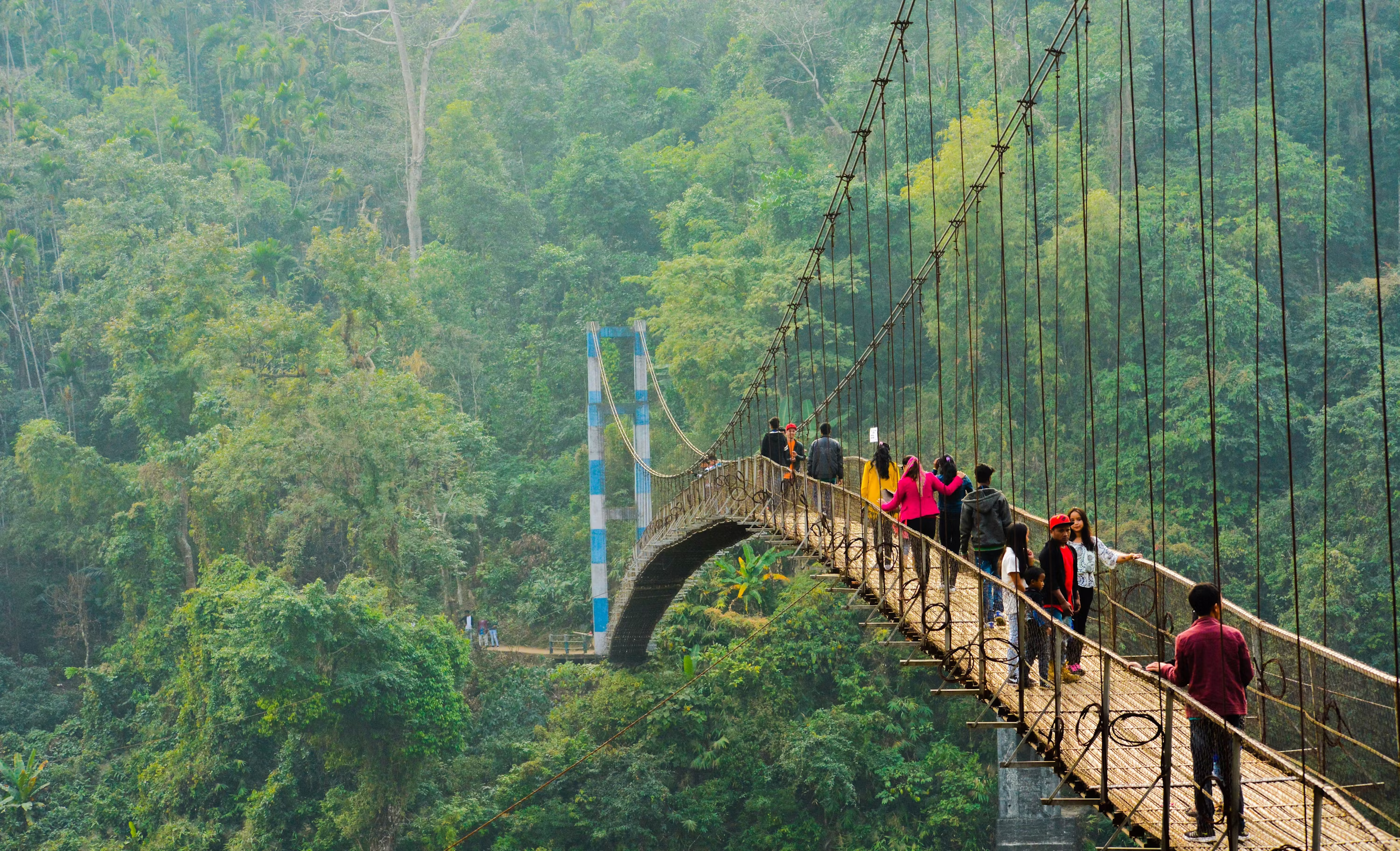 Shillong Escapes: Nature at Its Purest