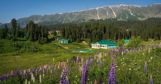 Leisure in Gulmarg: Nature's Embrace