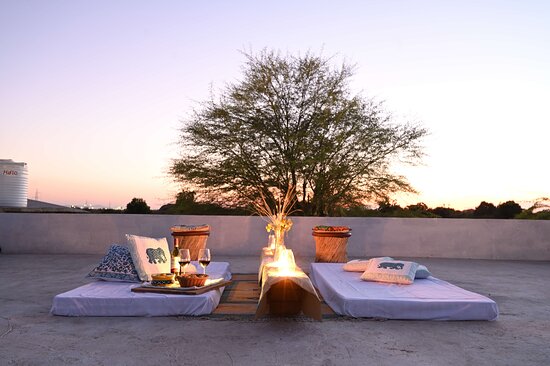 The Regal Rajasthan Collection by OTA Prime
